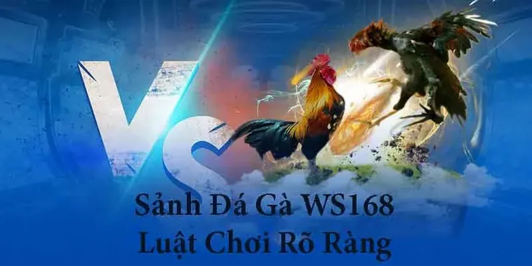 Hướng Dẫn Cách Chơi Đá Gà WS168 Tại VuaBet Hiệu Quả Nhất